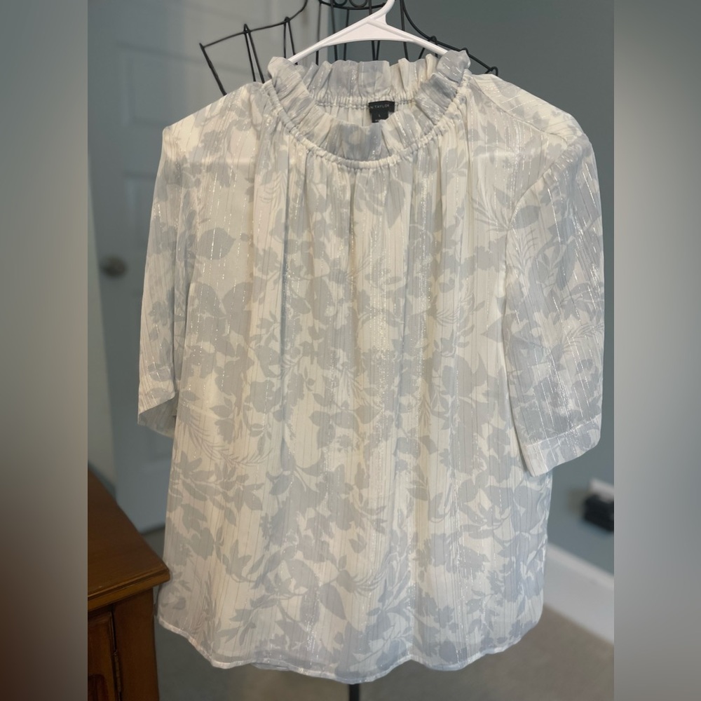 Beautiful Shimmer Thread Blouse